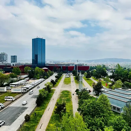 Ibis Hotel 3*