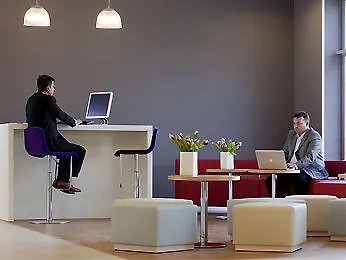 Ibis Bursa